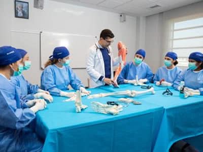 Anatomía Anatomía
