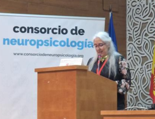 Participación en la XV Reunión del Consorcio de Neuropsicología.