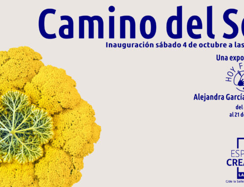 ¡Inauguramos una nueva exposición en el Espacio Creativo de La Salle Madrid!