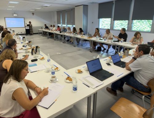 29ª sesión de trabajo del Comité Consultivo del Observatorio de la Innovación en el diseño universal