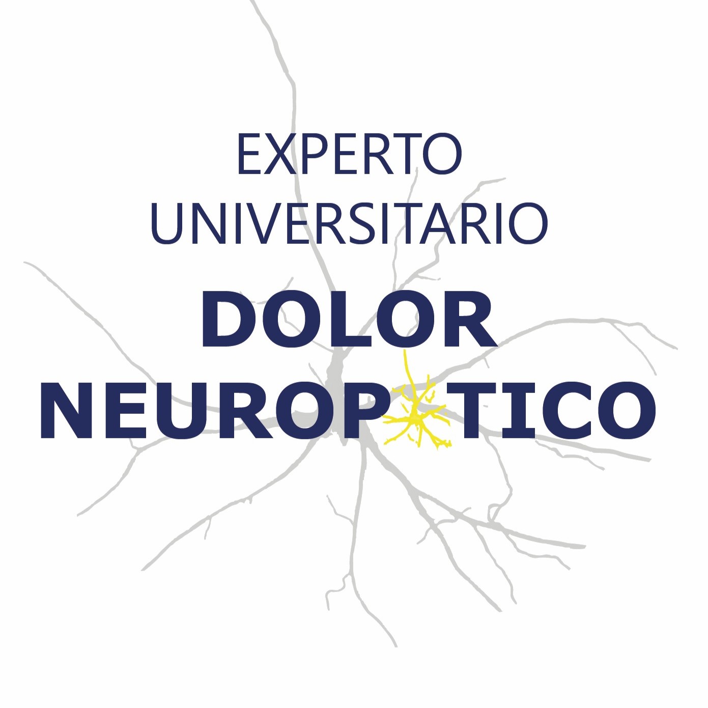 Experto dolor neuropatico BUENO